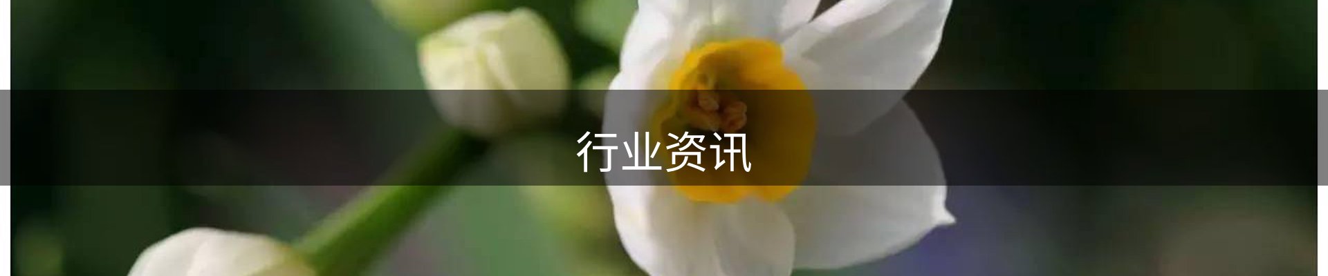 行业资讯